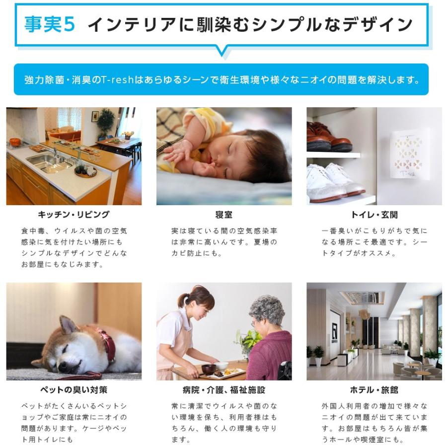 車内 空間除菌 消臭 T Resh Tレッシュ 置き型 ドリンクホルダー置き型 4 10畳用 消臭剤 ウイルス ニオイ カビ 寝室 キッチン ペット 無臭 St065 Stakeholder 通販 Yahoo ショッピング