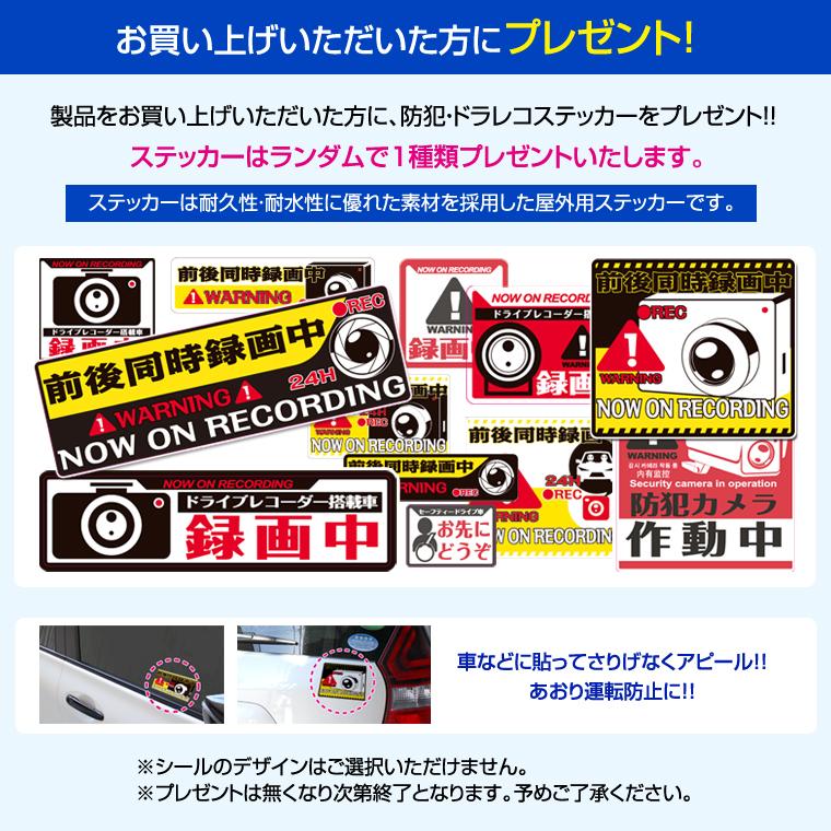 高濃度ガラスコーティング剤 スプレーして拭くだけ 2ヶ月持続 超撥水 艶 洗車 簡単施工 カーコーティング 日本製 RD-04 ラディアンス |  | 10