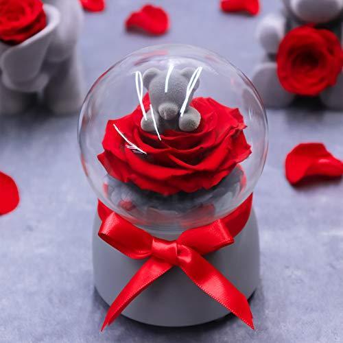 大切な人へのギフト探し Hua Bear1 記念誕生日プレゼント高級ギフトボックス クリスマス バレンタインデー プリザーブドフラワー クマさんと一輪の薔薇 レッド 永遠の花 造花 アートフラワー Oyostate Gov Ng