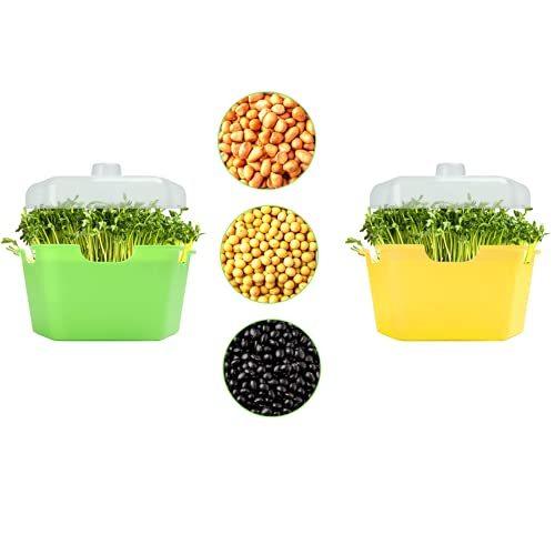 93 以上節約 Fufre 2個 もやし栽培 スプラウト栽培容器 種子発芽無土壌水耕栽培 発芽装置 家で野菜を育てる 豆種子発芽 シンプル急速な成熟有機野菜 Topdental Com Ar