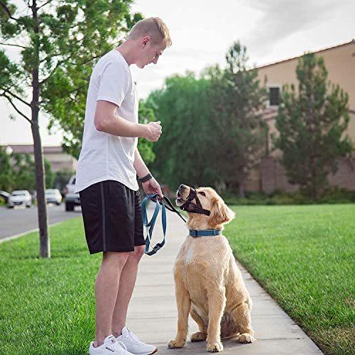 低価格 犬 マズル 口輪 犬用マズル口輪 サイズ調整可能 無駄吠え 噛みグセ キズなめ 咬みつき防止 アップグレード 柔らかい 犬の口を保護する拾い食い防止 Discoversvg Com