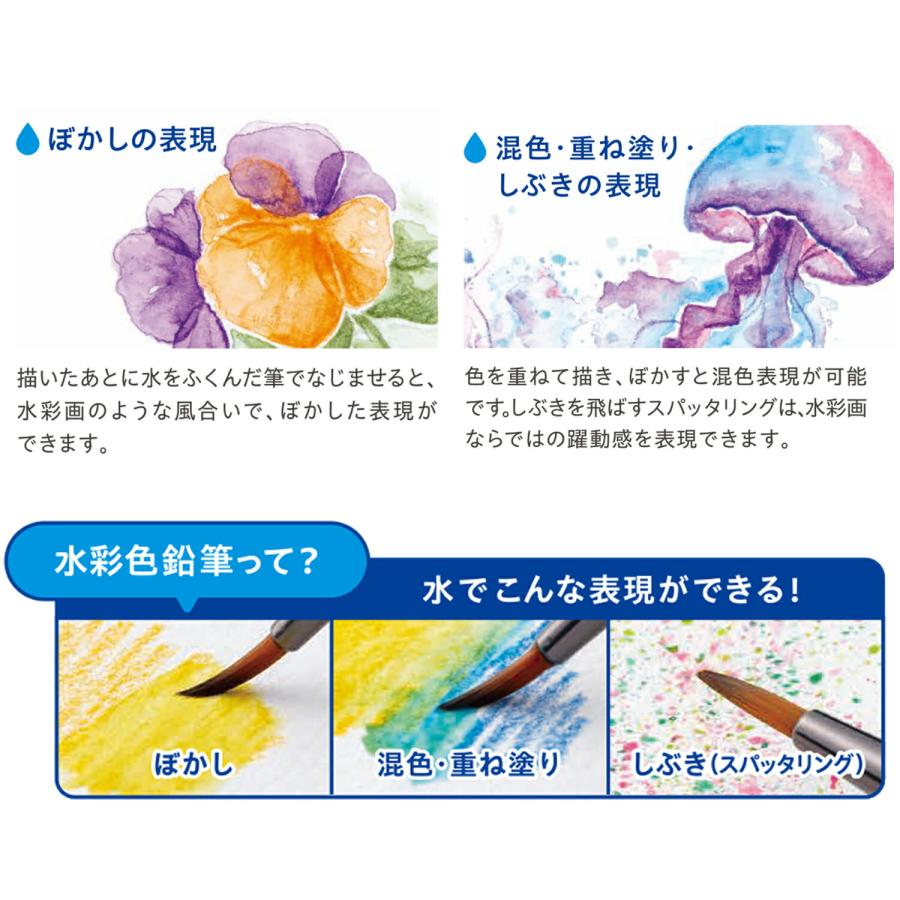 シヤチハタ（Shachihata） アートライン Artline 水彩色鉛筆 36色
