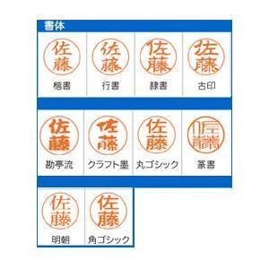 シャチハタ ネーム９ ネーム印 プチ補充インク付き 別注品 送料無料｜stamplab｜11