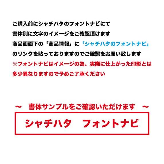 シャチハタ キャップレス９ 印鑑 別注品 ハンコ シヤチハタ キャップレス ９ｍｍ ネーム印 浸透印 認印 認印 ナース 看護師 | シヤチハタ | 13