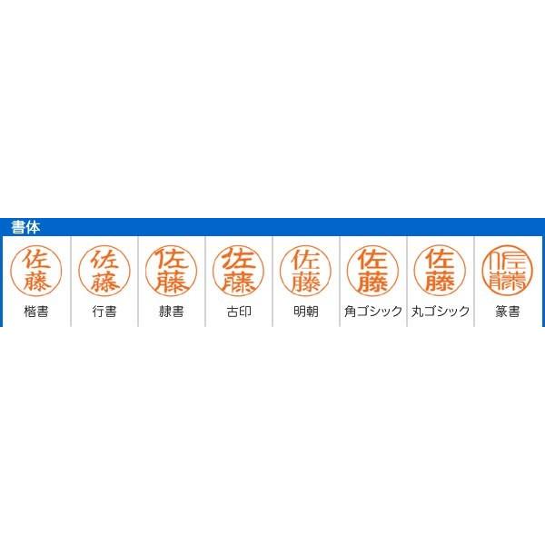 シヤチハタ シャチハタ ネームペン カーボネックス 別注品 印鑑