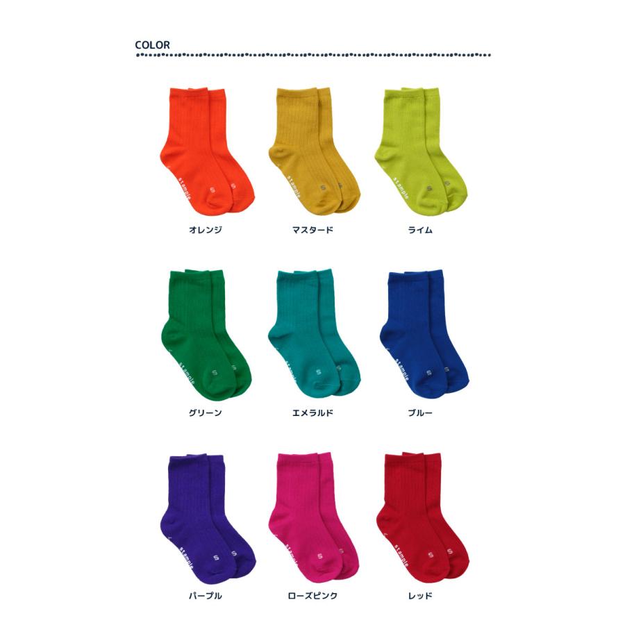 72666 stample スタンプル アクセントカラー クルーソックス 靴下 キッズ ジュニア レディース 滑り止め | stample | 13