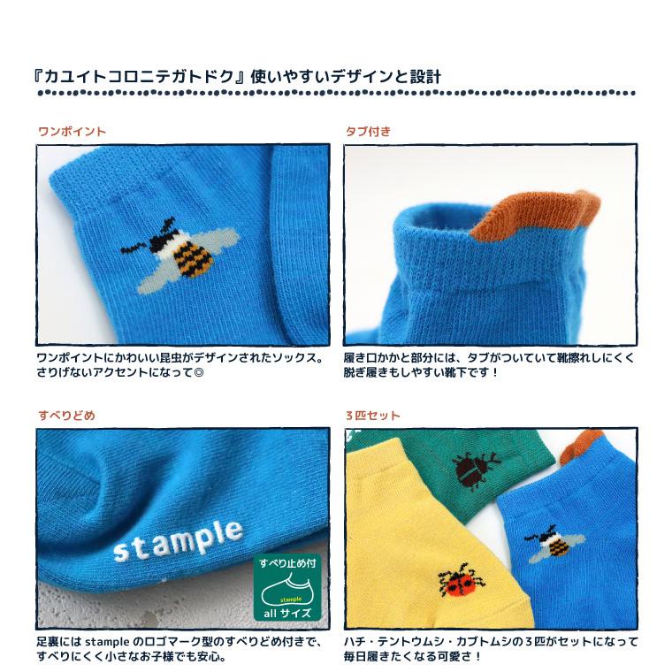 stample スタンプル 昆虫ワンポイント園児アンクル ソックス  3足組 73132キッズ 靴下 | stample | 02