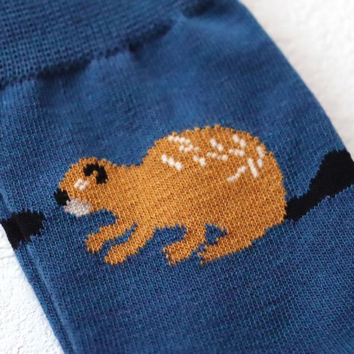 stample スタンプル 73273 とことこアニマルクルーソックス 3足組 キッズ 靴下 | stample | 12