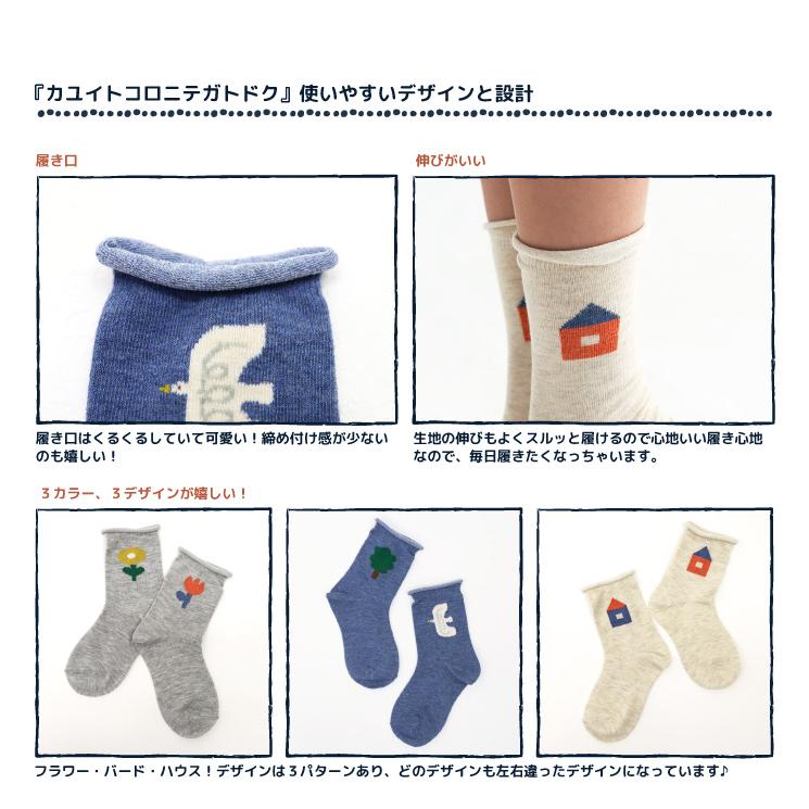 靴下 キッズ stample スタンプル バードハウスクルーソックス 3足組 キッズ 靴下 73278 | stample | 03