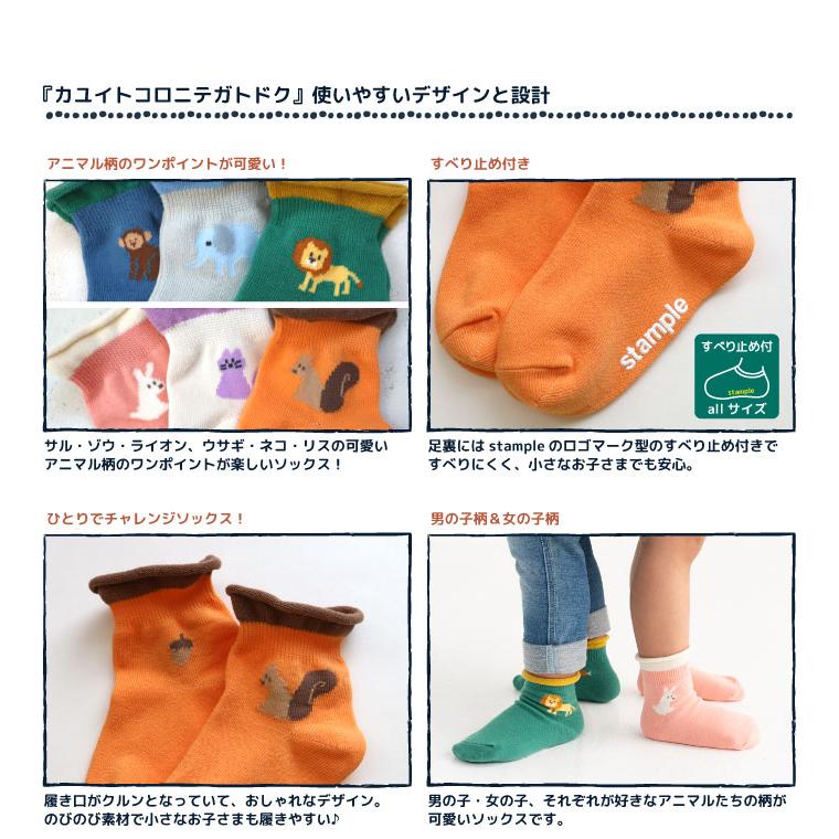 stample スタンプル 73285  アニマルポイント園児ソックス 2025 秋 冬 春 夏 靴下 子供 キッズ 通園 女の子 男の子 動物 滑り止め | stample | 04