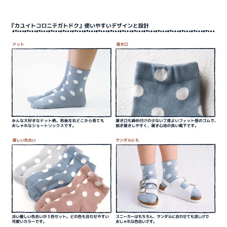 stample  スタンダードドットショートソックス 3足組   滑り止め 靴下 73315 ドット くすみカラー | stample | 02