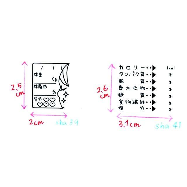 激安格安割引情報満載 ダイエットスタンプ 手帳 日記 体調管理 ダイエット Body Size 記録 ジム ほぼ日 手帳スタンプ バレットジャーナル 自作手帳 East Wind Jp