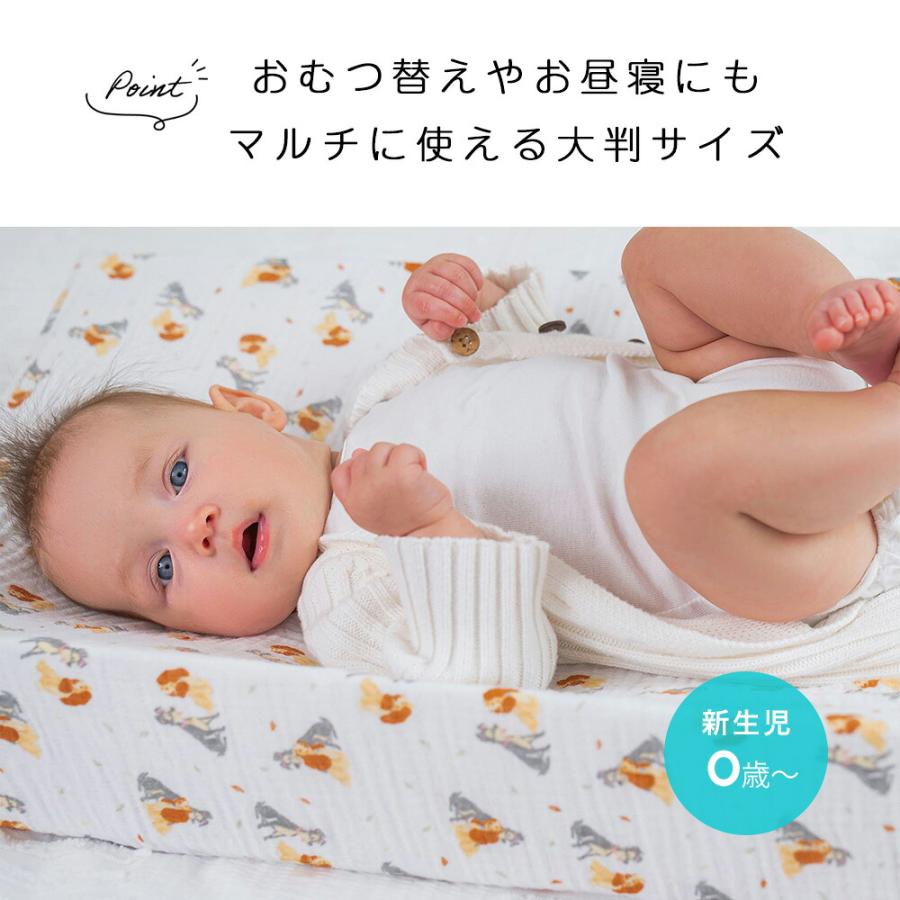 エッセンシャルズ 日本正規品 おくるみ エイデンアンドアネイ aden モスリンラップ 2枚セット ガーゼ コットン ガーゼ スワドル ベビー |  | 04