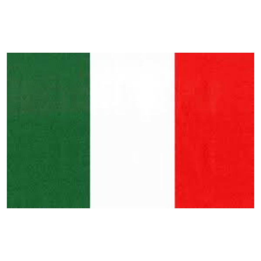 イタリア 国旗 フラッグ 4号 大きい サイズ 150 90cm 紐 取り付け 部屋 壁 インテリア 送料無料 Ca037 スタンダードネット 通販 Yahoo ショッピング