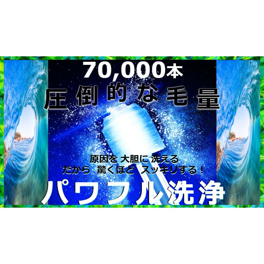鼻腔内洗浄ブラシ/ 花粉 ハウスダスト/根本原因を解決「一粒も許さない」/ StandardBrush公式サイト |  | 01