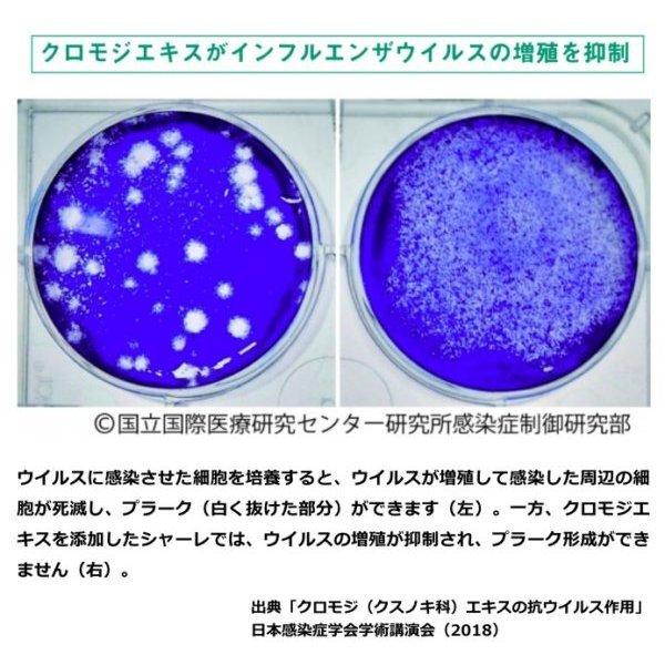 99.9%除菌100％日本製 高級天然１００％ アロママスクスプレー 野生植物クロモジ ノンアルコール除菌スプレー1000ml マスク 加湿器除菌可｜standardcolor｜02