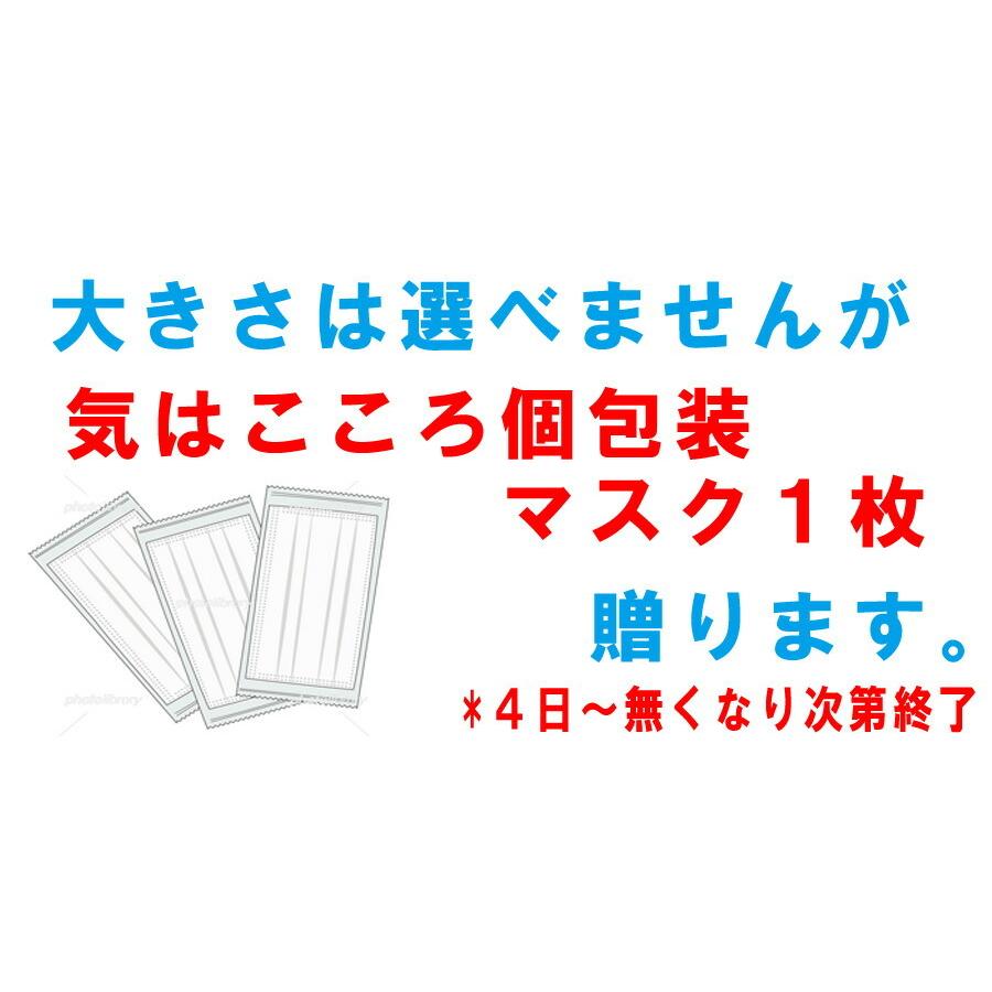 ブラザー 互換インク  LC12互換４本セット (LC12BK LC12M LC12C LC12Y) 互換｜standardcolor｜04