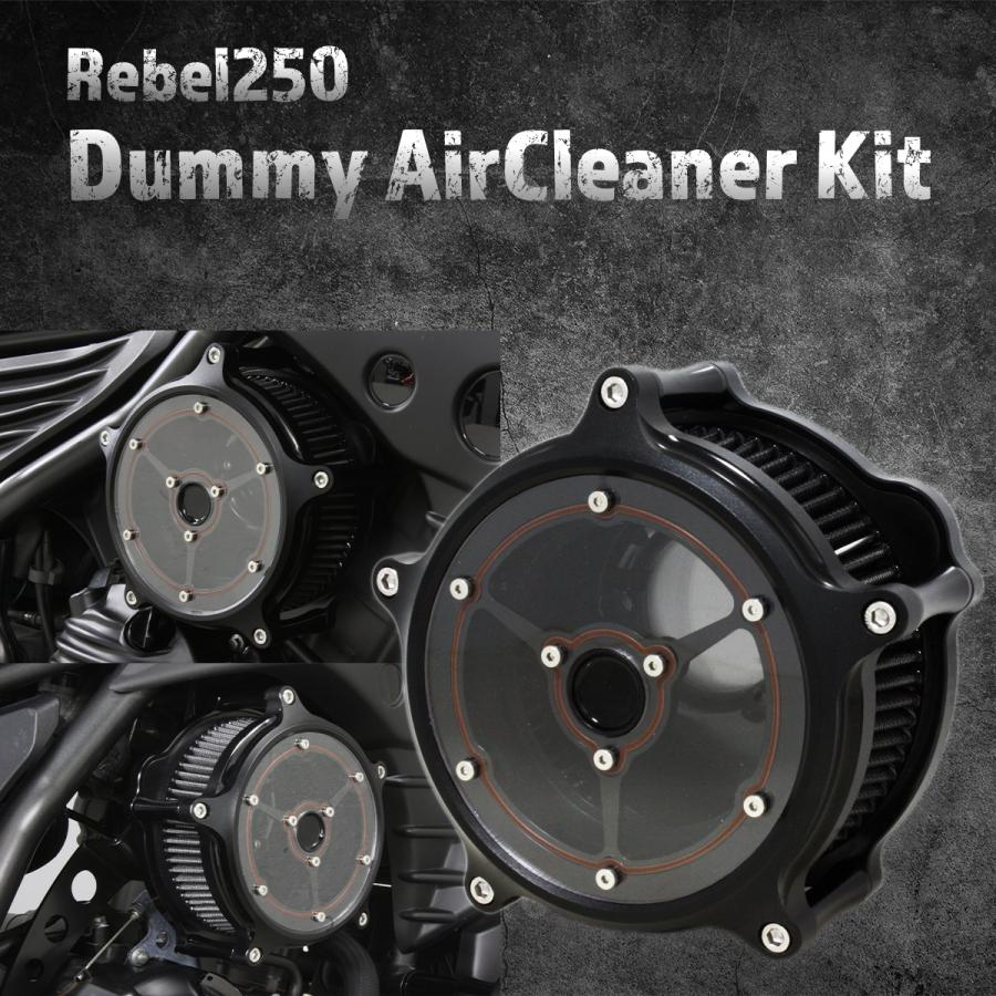 レブル250 ハイクオリティー ダミーエアクリーナー【タイプE】ブラック