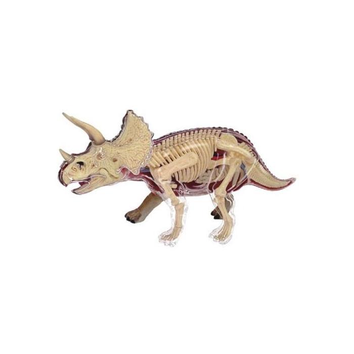 アオシマ 立体パズル 4D VISION 動物解剖 トリケラトプス 解剖モデル