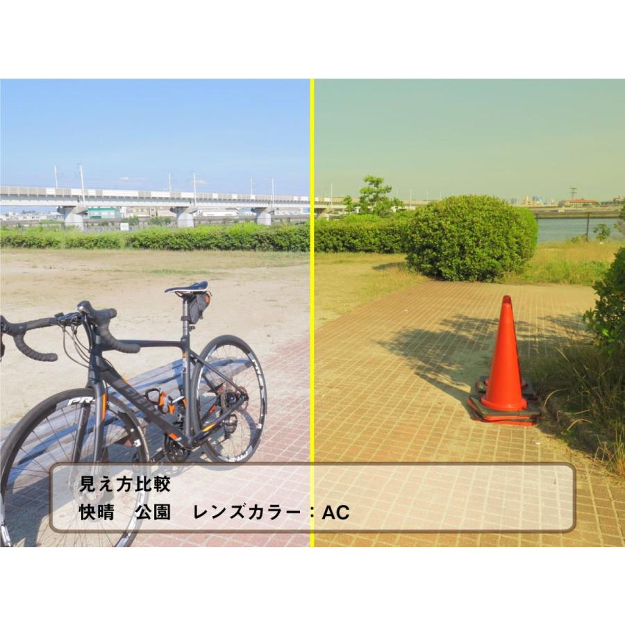 オーバーグラス サングラス CCP400 Viewnal by STG Type-M 大きめ