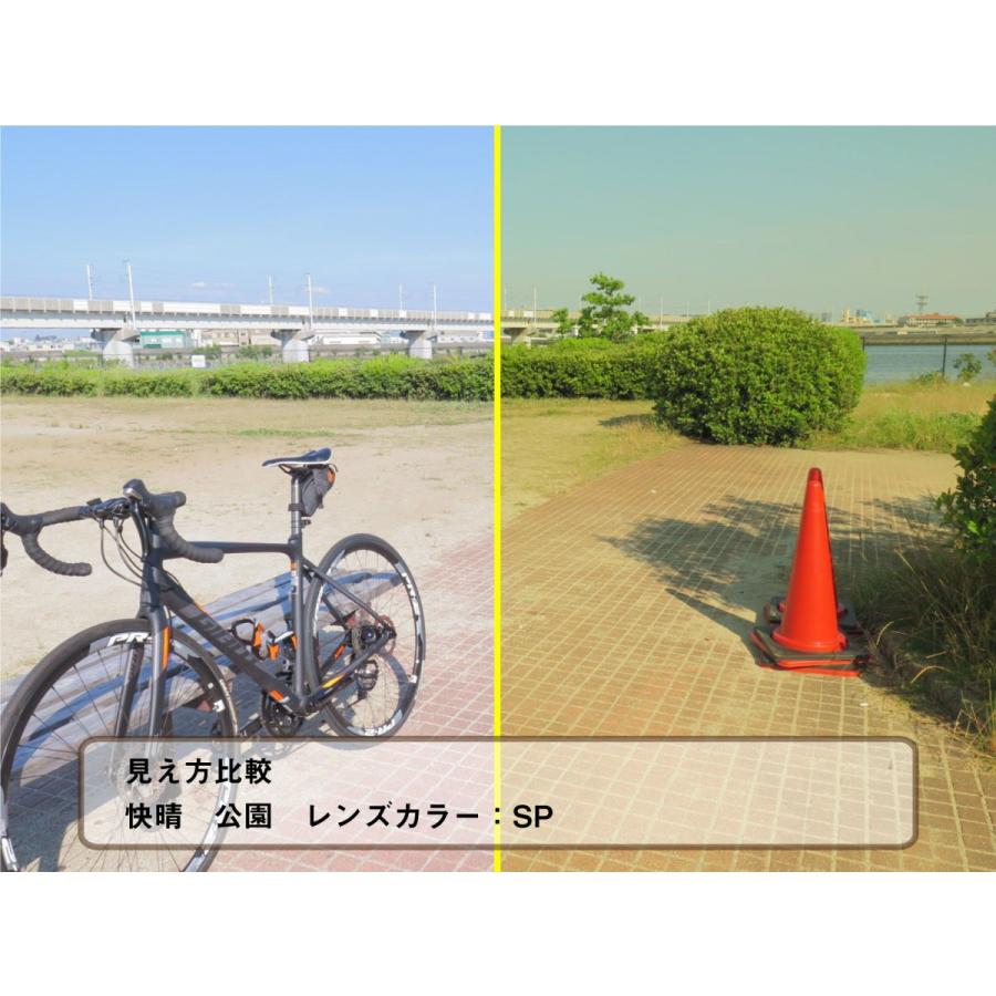 オーバーグラス サングラス CCP400 Viewnal by STG Type-M 大きめ