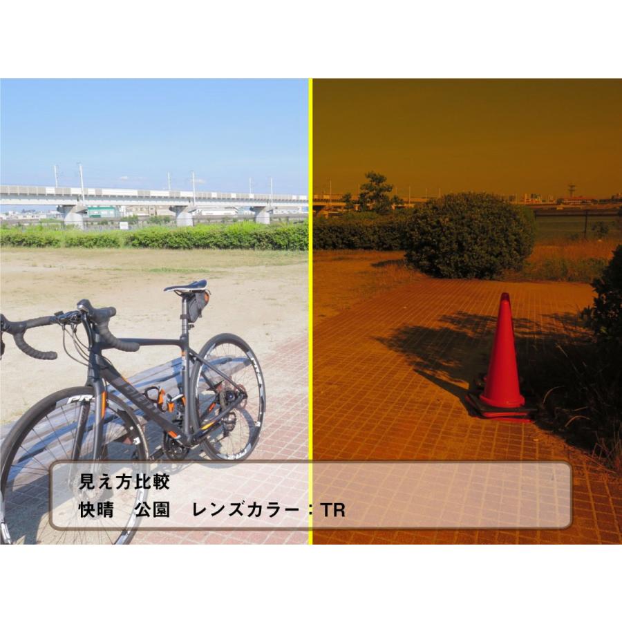 オーバーグラス サングラス CCP400 Viewnal by STG Type-M 大きめ