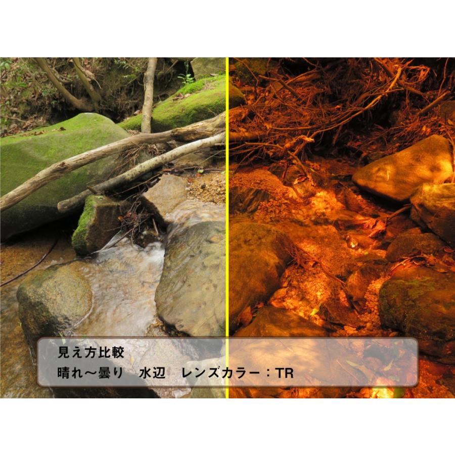 オーバーグラス サングラス CCP400 Viewnal by STG Type-M 大きめ