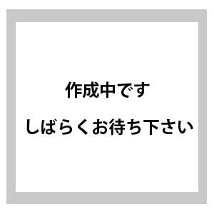 マツダ純正オートマチックフルード テルスター GVEWF 用 M-III 20L K020W0046E