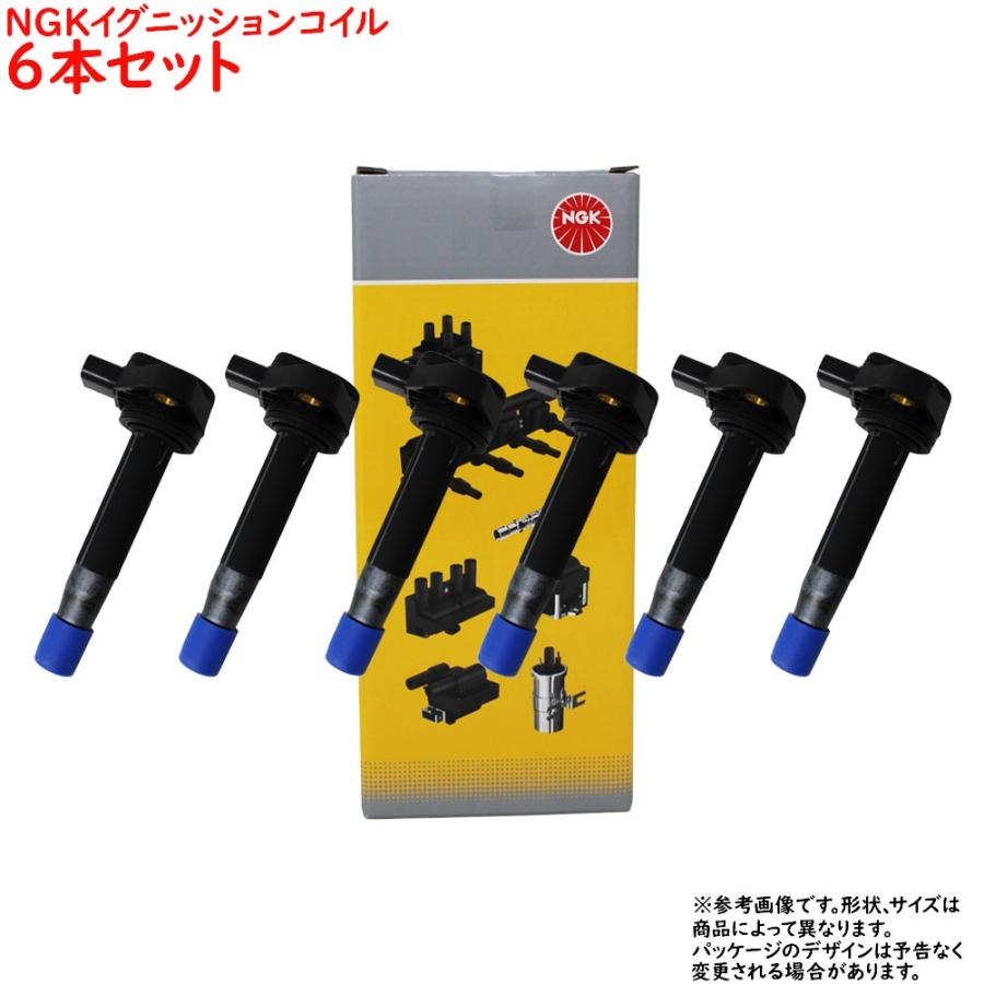サンダ― トリマ