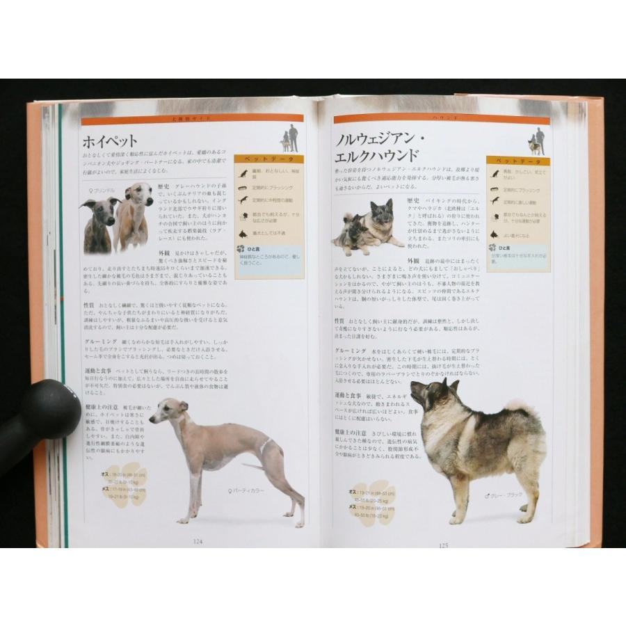 犬のすべてがわかる本 飼いたい人から 飼っている人まで 中古 状態ｂ Z7w347thh7 星と嵐 通販 Yahoo ショッピング