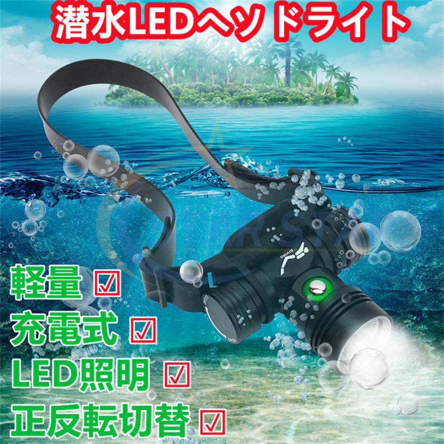 懐中電灯 潜水ライト LEDダイビング ヘッドライト 高輝度 1000 懐中電灯 潜水ライト LEDダイビング ヘッドライト 高輝度 1000