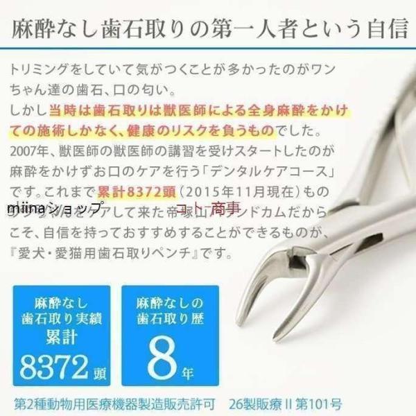 愛犬・愛猫用 歯石取り ペンチ 犬 歯石 デンタルケア ホームケア 猫 プロも愛用｜star-store2｜02