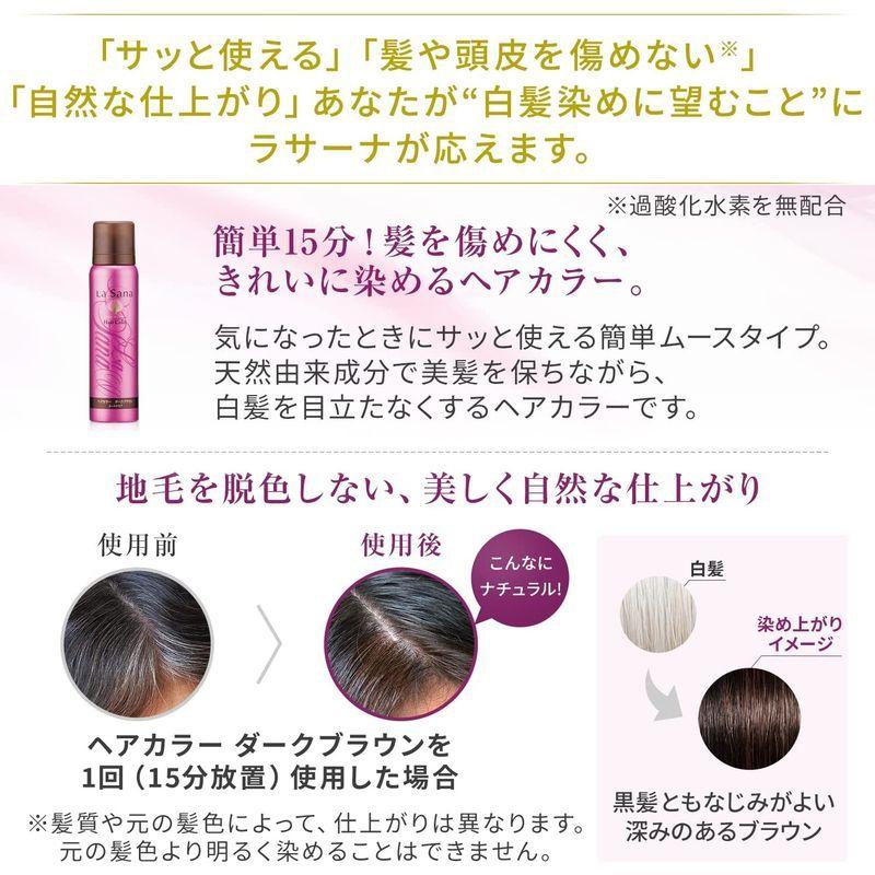 激安 新作 レディースヘアケア ラサーナ La Sana ヘアカラー ムースタイプ 白髪染め ダークブラウン 80g やさしく爽やかな香り 天然色素 Www Threeriversofs Com
