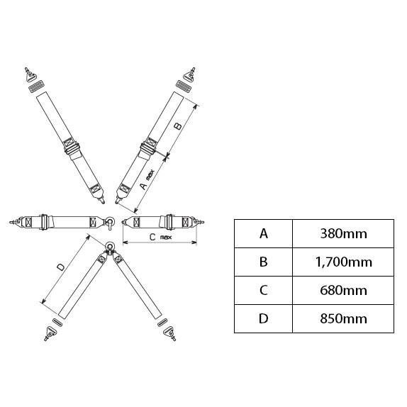 sabelt（サベルト） 6点式シートベルト CCA622LPM ツーリングカー用