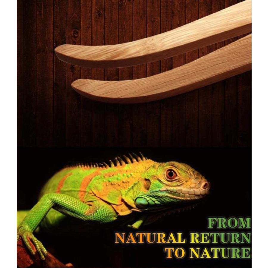 爬虫類 トカゲ 餌やり ピンセット２点セット 大 小 送料無料 152 Staraba 通販 Yahoo ショッピング