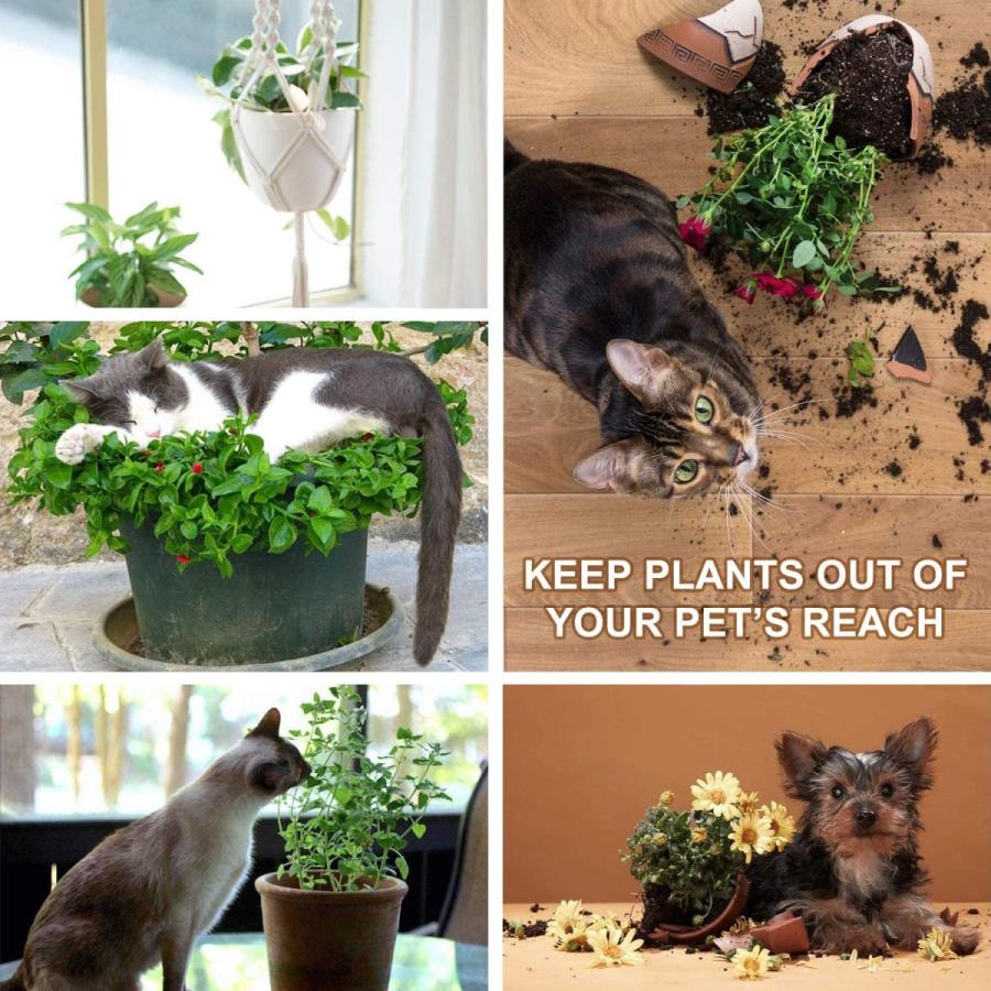 プラントハンガー 吊りスタンド 屋外 屋内 植物 ハンガーマクラメ 観葉植物 吊り下げ ロープ ハンギングプランター 送料無料 ※プランターは付属してません |  | 03