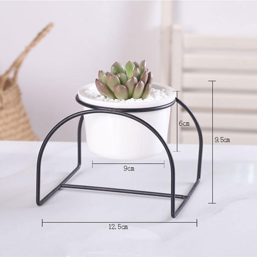 小さめ植木鉢 多肉植物の寄せ植え鉢 多肉植物 サボテン ミニ プランター おしゃれ 可愛い 送料無料 214 Staraba 通販 Yahoo ショッピング