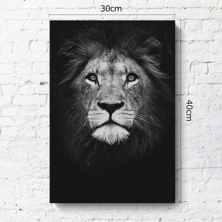 モノトーン 絵画 ２枚セット インテリア ファブリック 絵 キリン ライオン 人気 30 40cm 壁掛け アートパネル リビング プレゼント アートフレーム 送料無料 2 1 Staraba 通販 Yahoo ショッピング