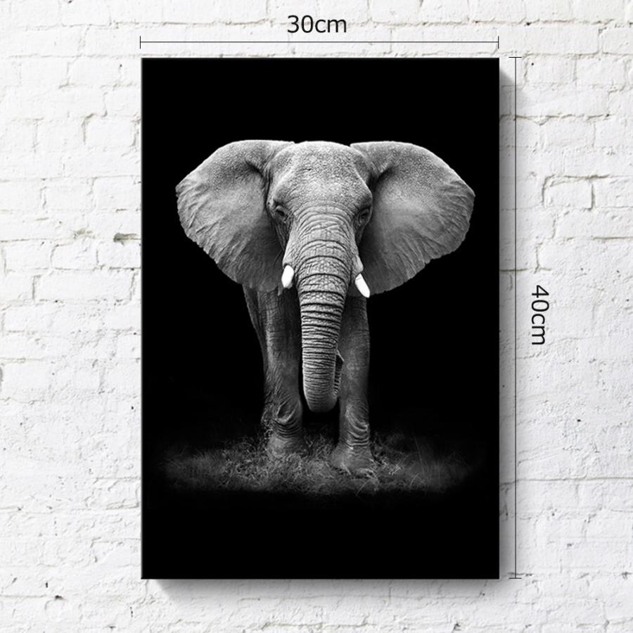 モノクロ象のフォトフレーム 【公式通販】