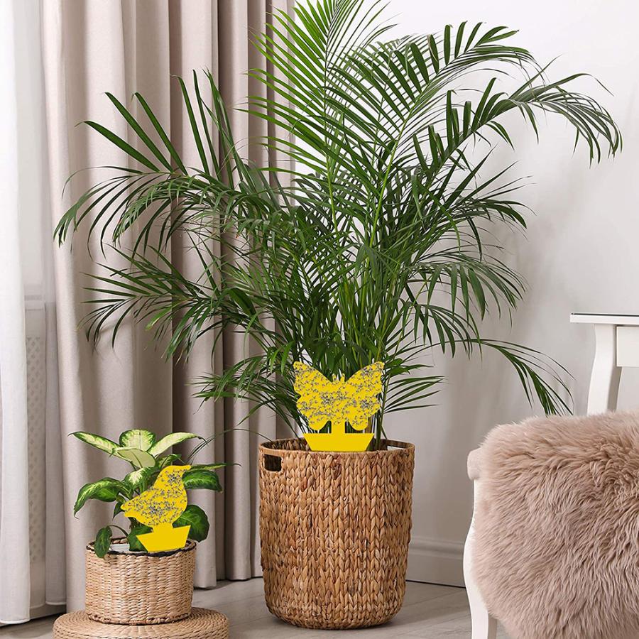 紙製粘着捕虫資材　ペタット　粘着捕虫　粘着トラップ　黄色　虫とり　害虫捕獲　罫線　予察　無農薬　送料無料(24枚入り) |  | 03