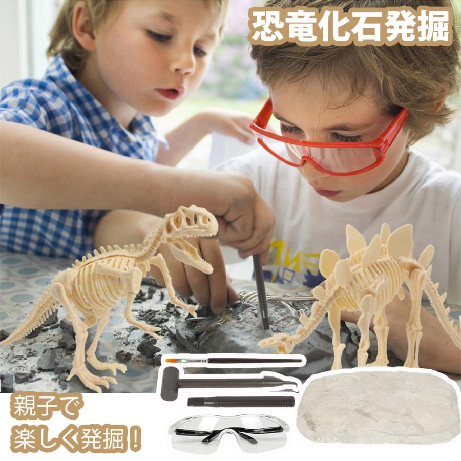 化石 発掘 恐竜 工作 知育 プレゼント 誕生日 クリスマス お祝い 男の子 女の子 サプライズ 子供 おもちゃ 工作  知育 送料無料 | 