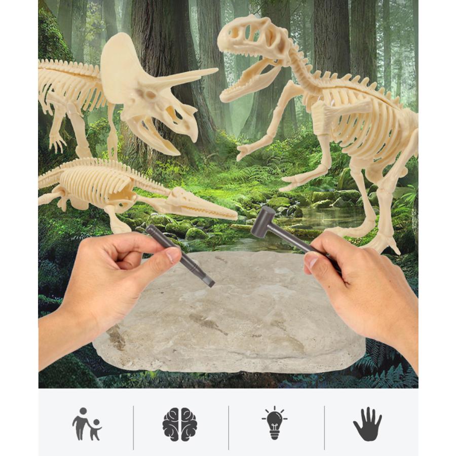 化石 発掘 恐竜 工作 知育 プレゼント 誕生日 クリスマス お祝い