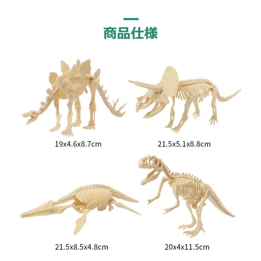 化石 発掘 恐竜 工作 知育 プレゼント 誕生日 クリスマス お祝い 男の子 女の子 サプライズ 子供 おもちゃ 工作  知育 送料無料 |  | 12