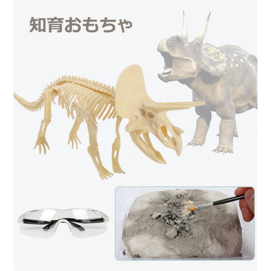 化石 発掘 恐竜 工作 知育 プレゼント 誕生日 クリスマス お祝い 男の子 女の子 サプライズ 子供 おもちゃ 工作  知育 送料無料 |  | 08