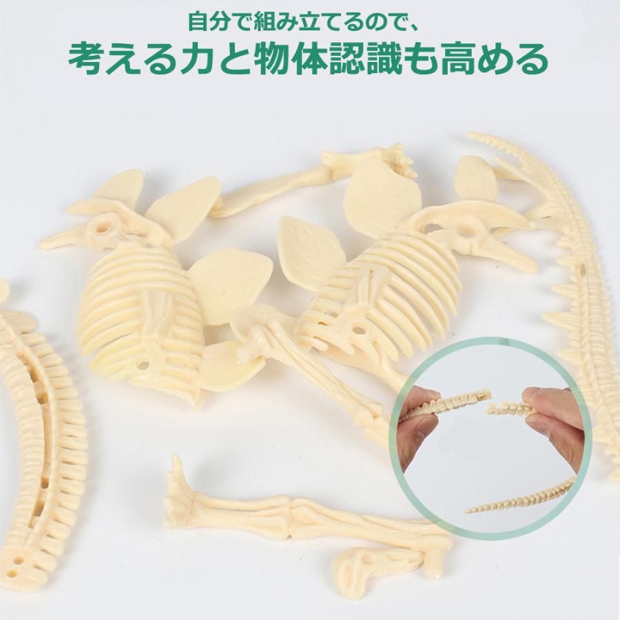 化石 発掘 恐竜 工作 知育 プレゼント 誕生日 クリスマス お祝い 男の子 女の子 サプライズ 子供 おもちゃ 工作  知育 送料無料 |  | 09