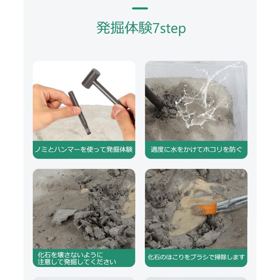 化石 発掘 恐竜 工作 知育 プレゼント 誕生日 クリスマス お祝い 男の子 女の子 サプライズ 子供 おもちゃ 工作  知育 送料無料 |  | 10