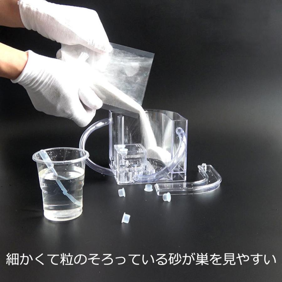 アリの巣　あり観察キット　飼育ケース　砂　自由研究 小学生 あり 蟻 飼育セット 実験セット 観察　夏休み　学習用　送料無料 |  | 03