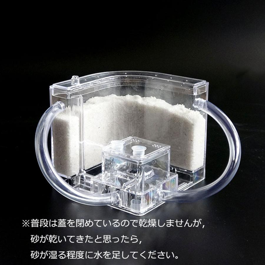 アリの巣　あり観察キット　飼育ケース　砂　自由研究 小学生 あり 蟻 飼育セット 実験セット 観察　夏休み　学習用　送料無料 |  | 05