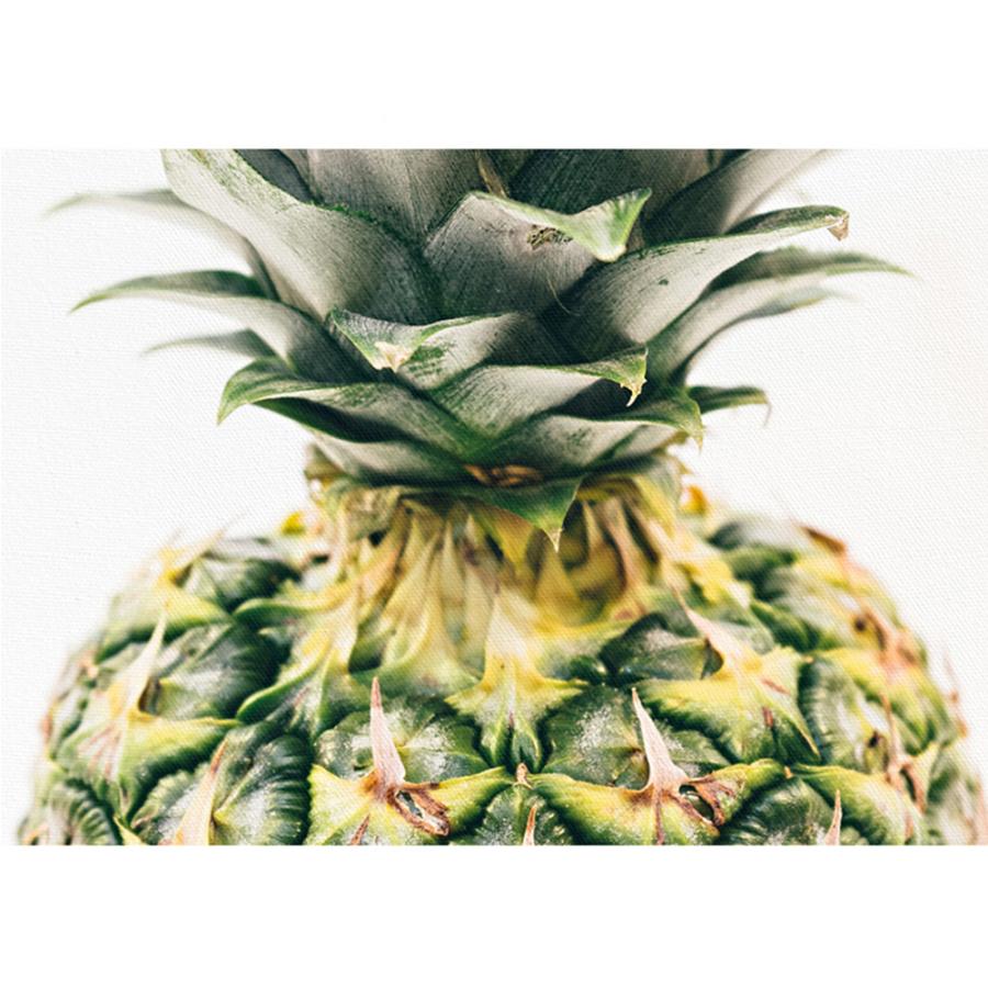 2枚セット 絵画 インテリア ファブリック 絵 パイナップル 人気 35