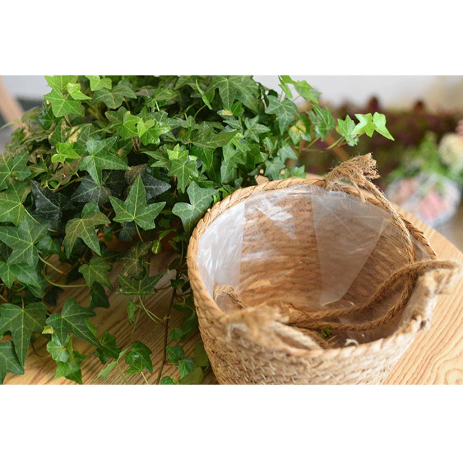 ハンギングバスケット 吊り鉢 吊り下げ 植木鉢 ハンギングプランター 観葉植物 花鉢 フラワーポット プラントハンガー 送料無料 |  | 03